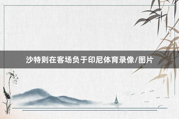 沙特则在客场负于印尼体育录像/图片