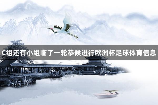 C组还有小组临了一轮恭候进行欧洲杯足球体育信息