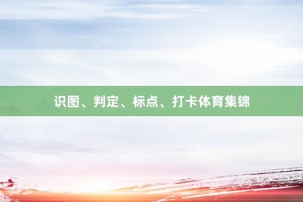 识图、判定、标点、打卡体育集锦