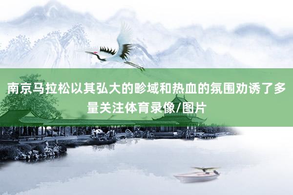南京马拉松以其弘大的畛域和热血的氛围劝诱了多量关注体育录像/图片