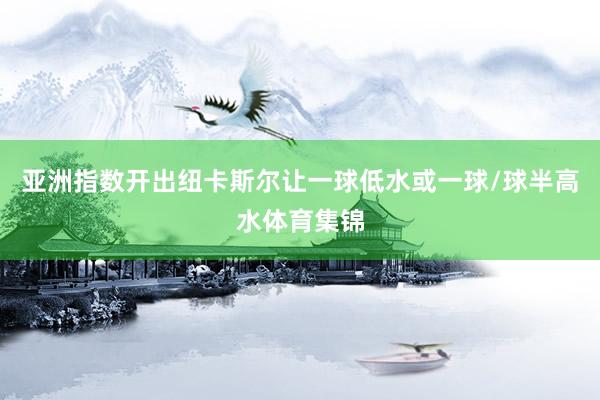 亚洲指数开出纽卡斯尔让一球低水或一球/球半高水体育集锦