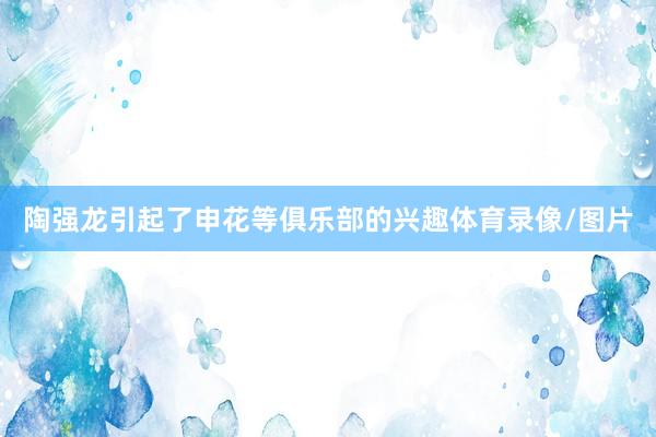陶强龙引起了申花等俱乐部的兴趣体育录像/图片