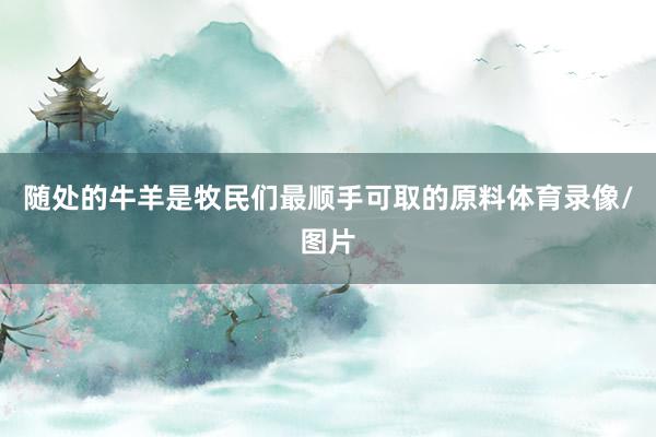 随处的牛羊是牧民们最顺手可取的原料体育录像/图片