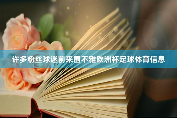 许多粉丝球迷前来围不雅欧洲杯足球体育信息