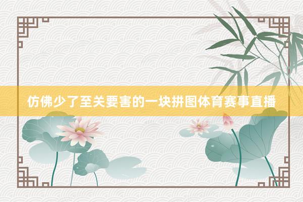 仿佛少了至关要害的一块拼图体育赛事直播