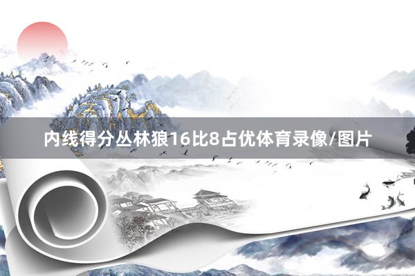 内线得分丛林狼16比8占优体育录像/图片