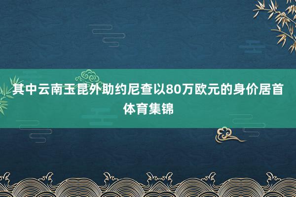其中云南玉昆外助约尼查以80万欧元的身价居首体育集锦