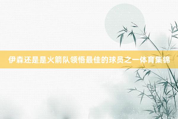 伊森还是是火箭队领悟最佳的球员之一体育集锦