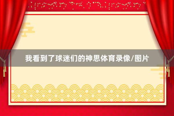 我看到了球迷们的神思体育录像/图片