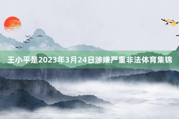 王小平是2023年3月24日涉嫌严重非法体育集锦