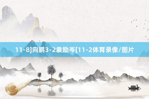 11-8]　　向鹏3-2袁励岑[11-2体育录像/图片