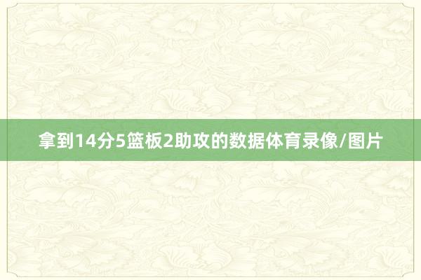 拿到14分5篮板2助攻的数据体育录像/图片