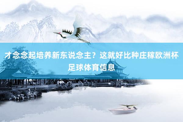才念念起培养新东说念主？这就好比种庄稼欧洲杯足球体育信息