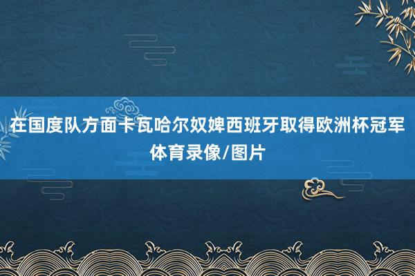 在国度队方面卡瓦哈尔奴婢西班牙取得欧洲杯冠军体育录像/图片