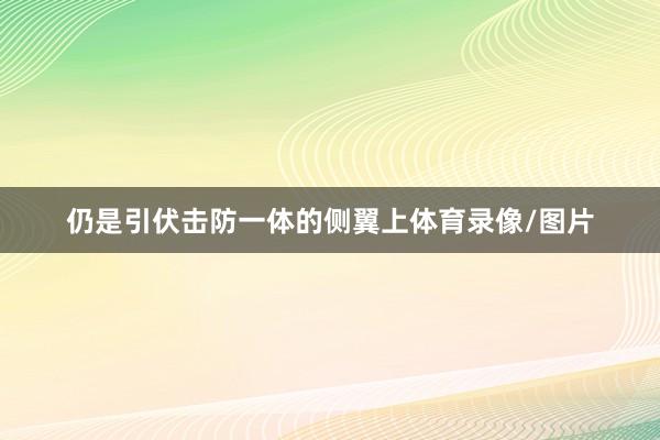 仍是引伏击防一体的侧翼上体育录像/图片