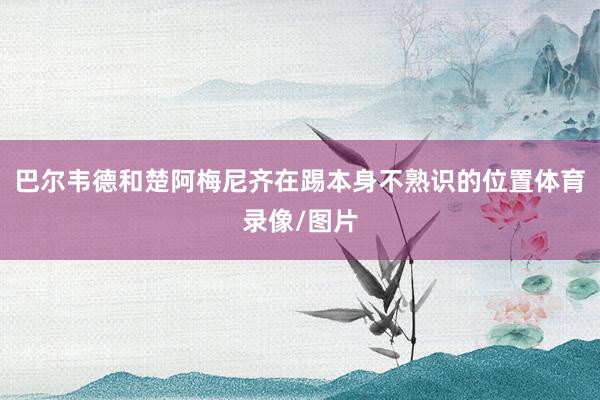巴尔韦德和楚阿梅尼齐在踢本身不熟识的位置体育录像/图片
