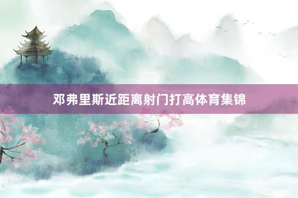 邓弗里斯近距离射门打高体育集锦