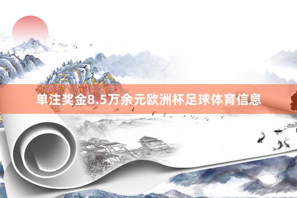 单注奖金8.5万余元欧洲杯足球体育信息