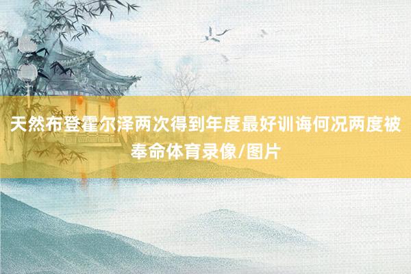 天然布登霍尔泽两次得到年度最好训诲何况两度被奉命体育录像/图片