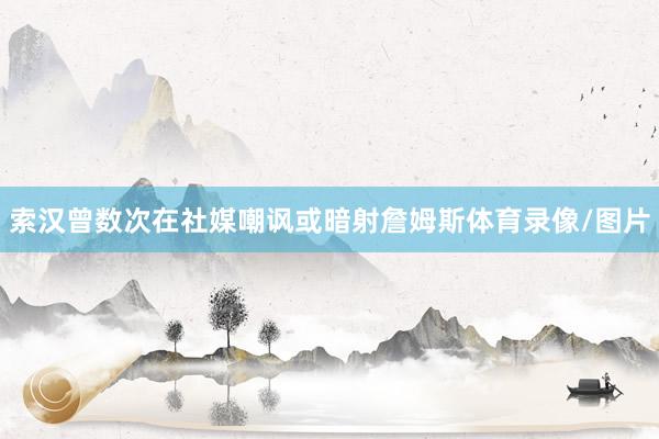 索汉曾数次在社媒嘲讽或暗射詹姆斯体育录像/图片