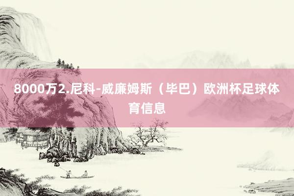 8000万2.尼科-威廉姆斯（毕巴）欧洲杯足球体育信息