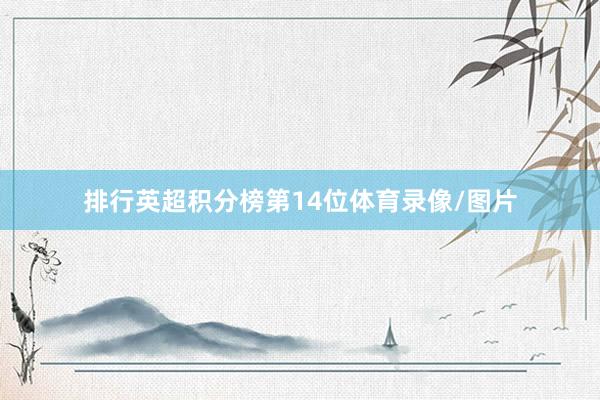 排行英超积分榜第14位体育录像/图片