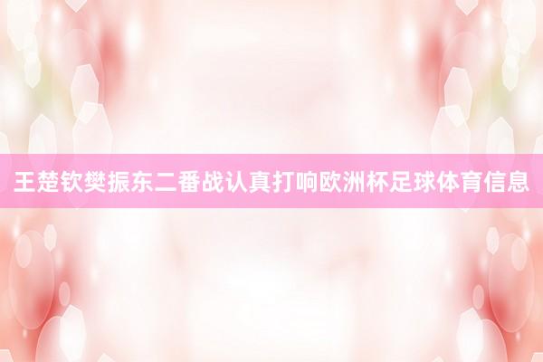 王楚钦樊振东二番战认真打响欧洲杯足球体育信息