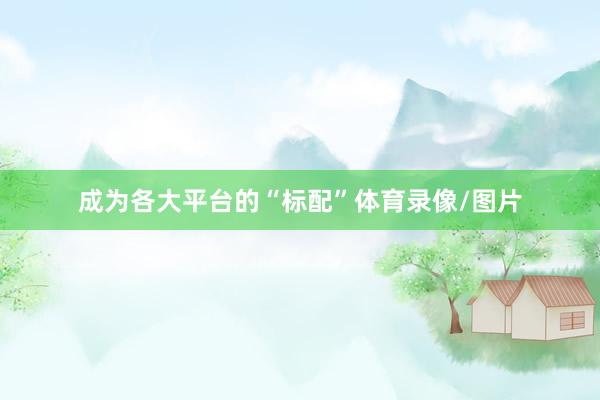 成为各大平台的“标配”体育录像/图片