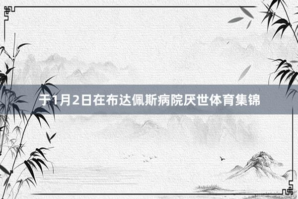 于1月2日在布达佩斯病院厌世体育集锦