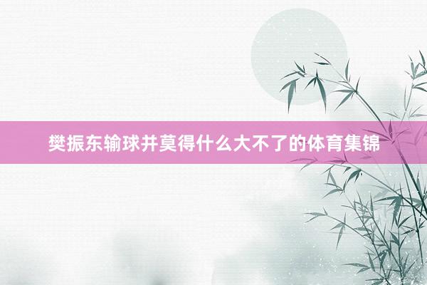 樊振东输球并莫得什么大不了的体育集锦