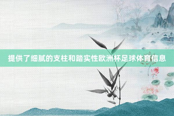 提供了细腻的支柱和踏实性欧洲杯足球体育信息