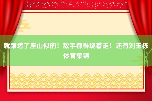 就跟堵了座山似的！敌手都得绕着走！还有刘玉栋体育集锦