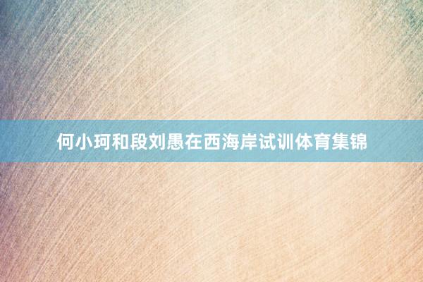 何小珂和段刘愚在西海岸试训体育集锦