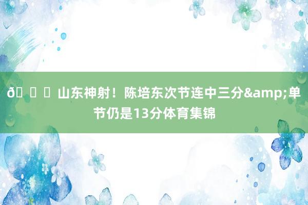 👍山东神射！陈培东次节连中三分&单节仍是13分体育集锦
