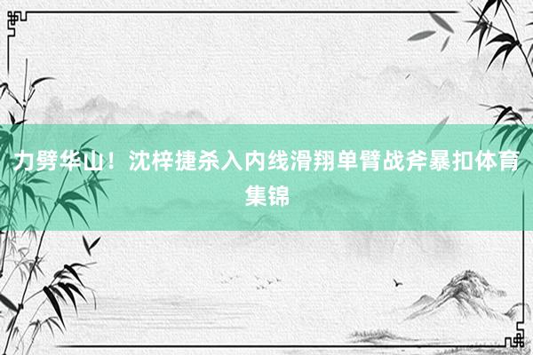 力劈华山！沈梓捷杀入内线滑翔单臂战斧暴扣体育集锦