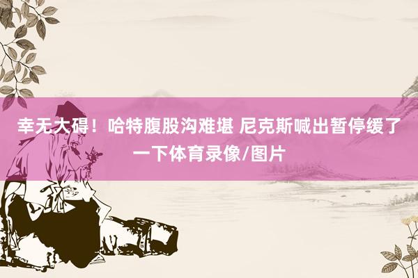 幸无大碍！哈特腹股沟难堪 尼克斯喊出暂停缓了一下体育录像/图片