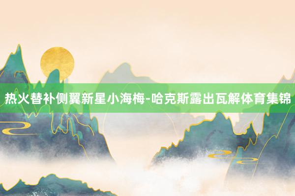 热火替补侧翼新星小海梅-哈克斯露出瓦解体育集锦