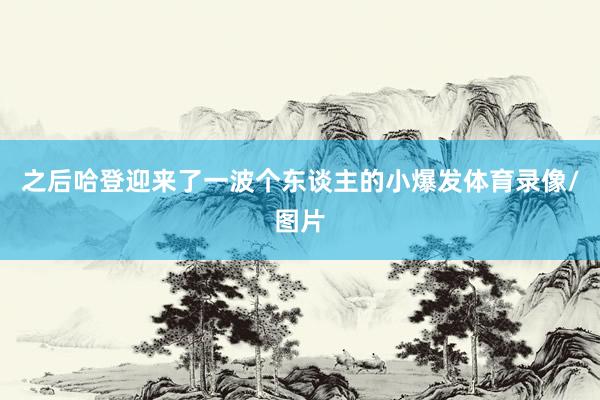 之后哈登迎来了一波个东谈主的小爆发体育录像/图片