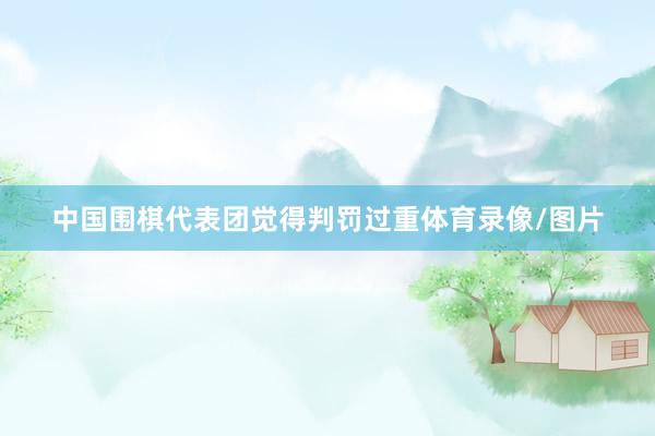 中国围棋代表团觉得判罚过重体育录像/图片