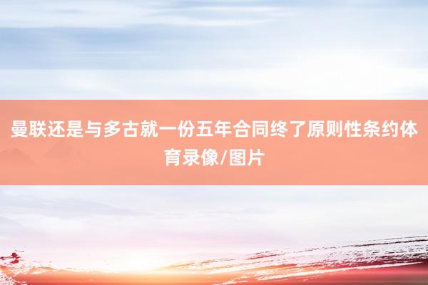 曼联还是与多古就一份五年合同终了原则性条约体育录像/图片