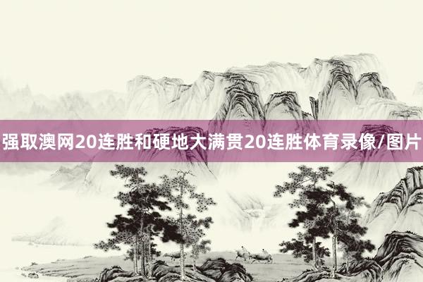 强取澳网20连胜和硬地大满贯20连胜体育录像/图片