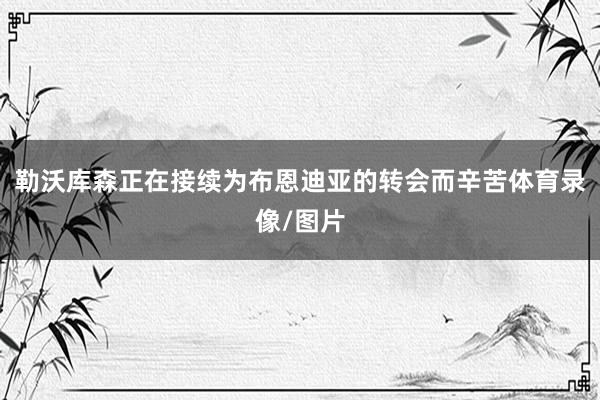 勒沃库森正在接续为布恩迪亚的转会而辛苦体育录像/图片