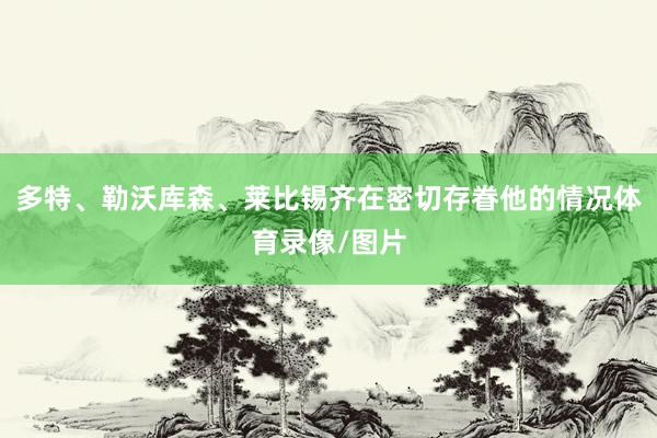 多特、勒沃库森、莱比锡齐在密切存眷他的情况体育录像/图片