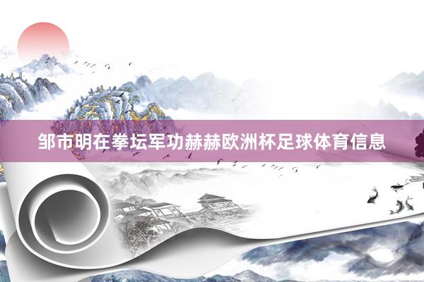 邹市明在拳坛军功赫赫欧洲杯足球体育信息