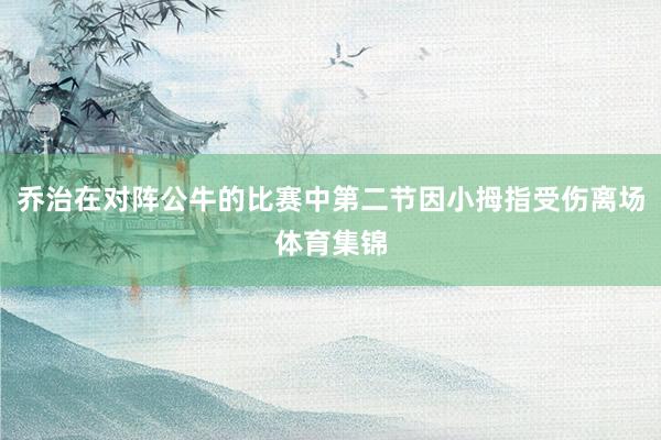 乔治在对阵公牛的比赛中第二节因小拇指受伤离场体育集锦