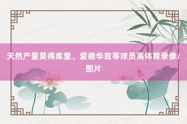 天然产量莫得库里、爱德华兹等球员高体育录像/图片