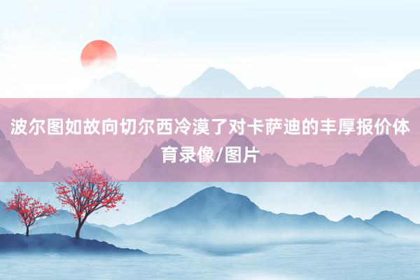 波尔图如故向切尔西冷漠了对卡萨迪的丰厚报价体育录像/图片