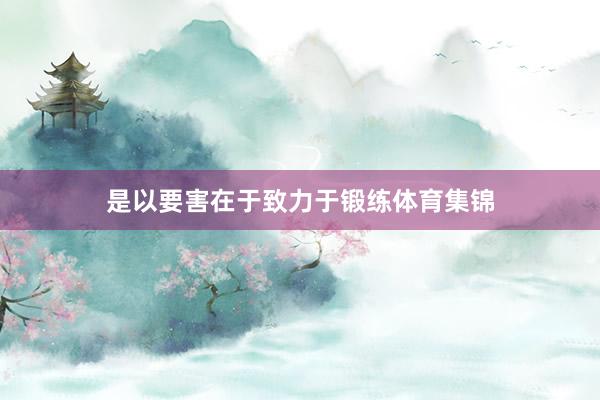 是以要害在于致力于锻练体育集锦