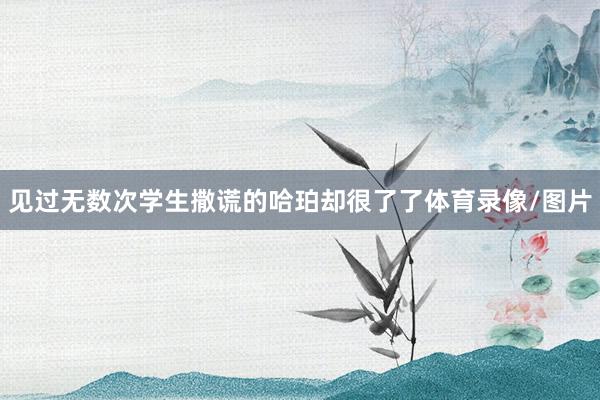 见过无数次学生撒谎的哈珀却很了了体育录像/图片