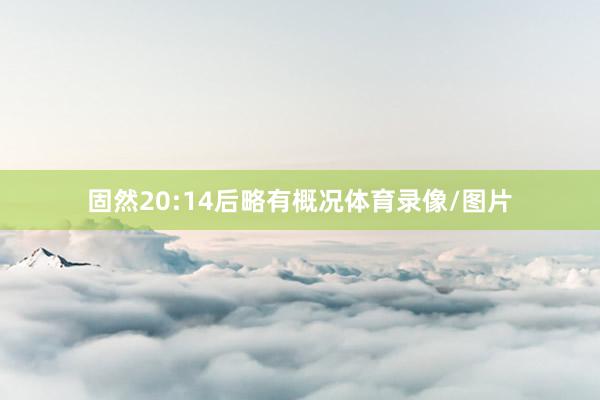 固然20:14后略有概况体育录像/图片